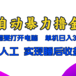 全自动暴力撸金，只需要打开电脑，单机日入300+无需人工，实现睡后收益-亿佰盟网