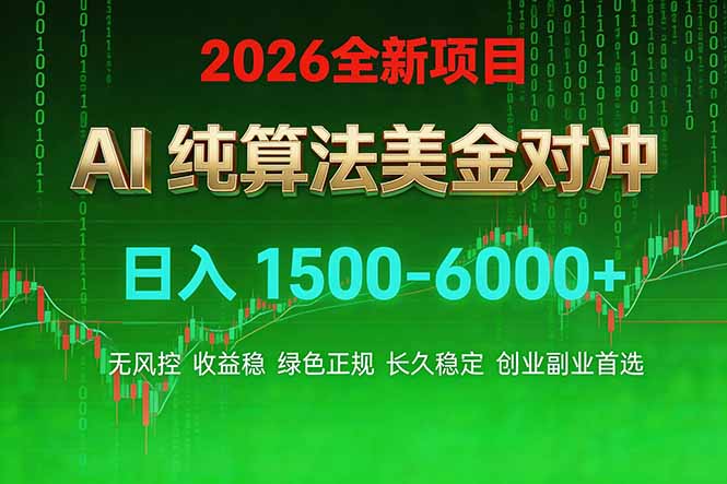 2026 全新美金对冲项目，不套平台赠金，不封号，纯算法对冲，日入 1500-6000+-亿佰盟网
