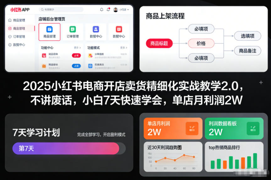 2025小红书电商开店卖货精细化实战教学2.0，不讲废话，小白7天快速学会，单店月利润2W-亿佰盟网