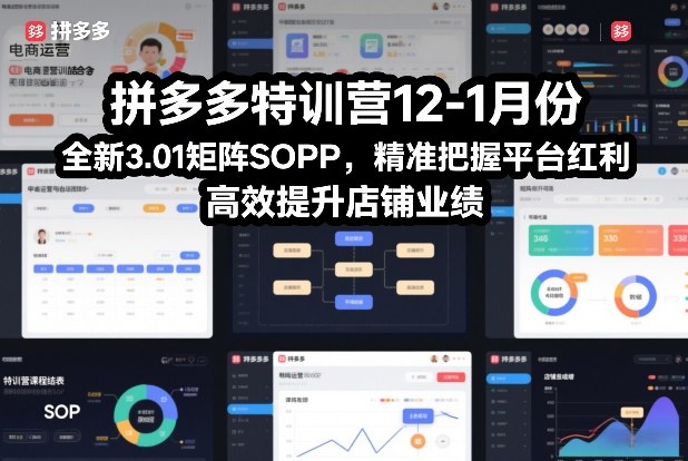 拼多多特训营12-1月份，全新3.01矩阵Sop，精准把握平台红利，高效提升店铺业绩-亿佰盟网