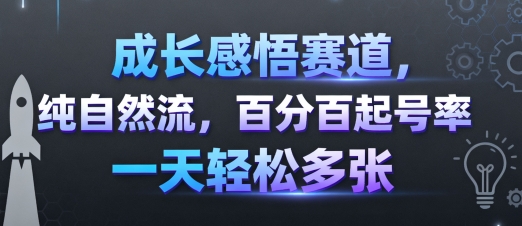 成长感悟赛道，纯自然流，百分百起号率 一天轻松多张-亿佰盟网