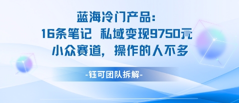 蓝海项目：16条笔记私域变现9750米小众赛道操作的人不多-亿佰盟网