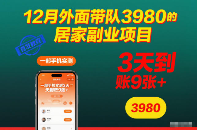 12月外面带队3980的居家副业项目，一部手机实测3天到账9张+，首发教程【揭秘】-亿佰盟网