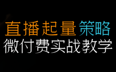 半野老师·直播带货起量与微付费必学课视频号-亿佰盟网