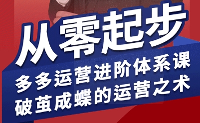 拼多多运营进阶系统课，从零起步，多多运营进阶体系课，破茧成蝶的运营之术(更新9月)-亿佰盟网