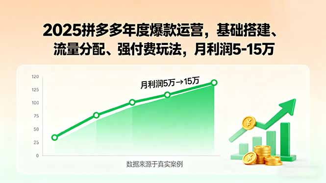 2025拼多多年度爆款运营，基础搭建、流量分配、强付费玩法，月利润5-15万-亿佰盟网