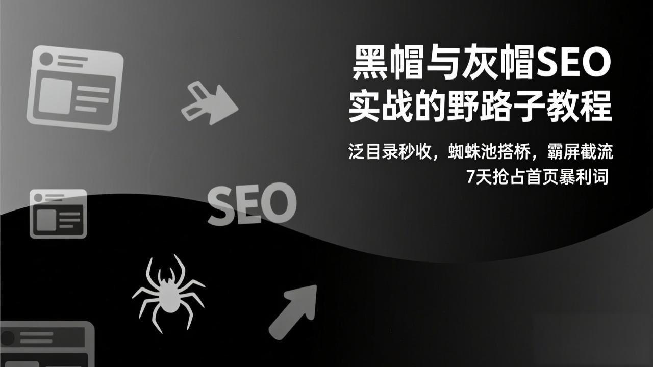 黑帽与灰帽SEO实战的野路子教程：泛目录秒收，蜘蛛池搭桥，霸屏截流，7天抢占首页暴利词-亿佰盟网