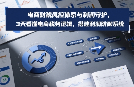 电商财税风控体系与利润守护，3天看懂电商税务逻辑，搭建利润防御系统-亿佰盟网