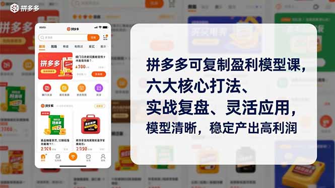 拼多多可复制盈利模型课，六大核心打法、实战复盘、灵活应用，模型清晰，稳定产出高利润-亿佰盟网