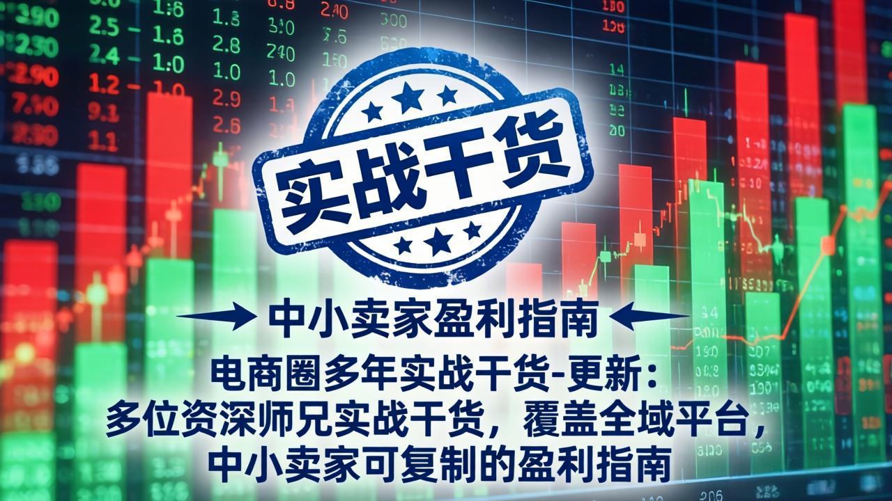 电商圈多年实战干货-更新5月10：多位资深师兄实战干货/覆盖全域平台，中小卖家可复制的盈利指南-亿起创业网-副业兼职月入过万-自媒体、引流推广、网赚项目、短视频、技术教程等创业项目资源