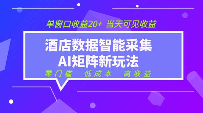 2026酒店数据采集ai智能矩阵新风口 低成本 高收益 当天见收益 单窗口20+-亿起创业网-副业兼职月入过万-自媒体、引流推广、网赚项目、短视频、技术教程等创业项目资源