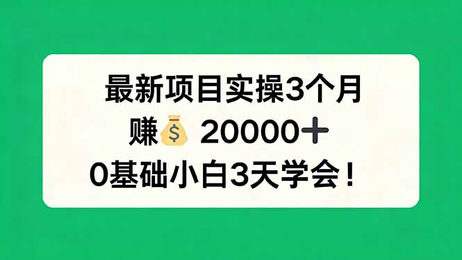 最新项目实操3个月，赚钱20000+，0基础小白3天学会！-亿起创业网-副业兼职月入过万