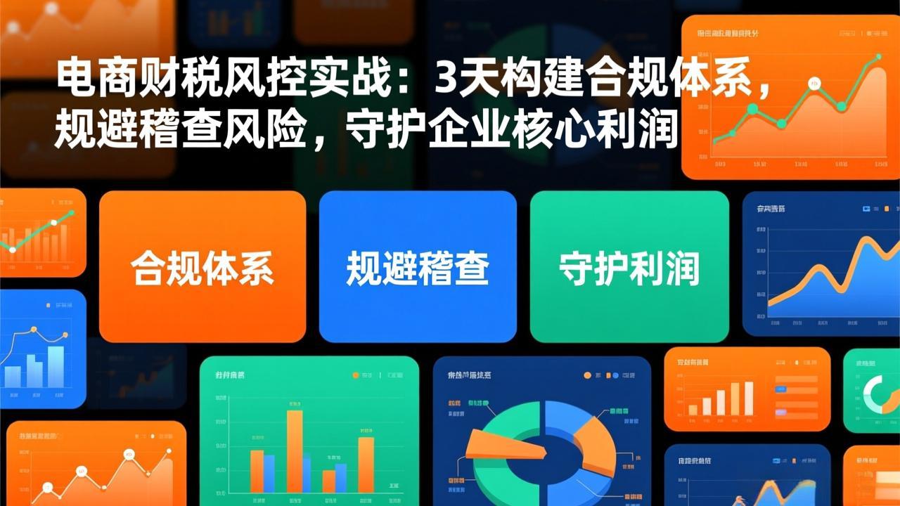 电商财税风控实战：3天构建合规体系，规避稽查风险，守护企业核心利润-亿佰盟网