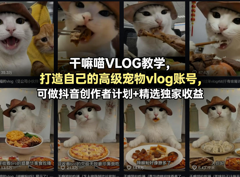 干嘛喵VLOG教学，打造自己的高级宠物vlog账号，可做抖音创作者计划+精选独家收益-亿起创业网-副业兼职月入过万-自媒体、引流推广、网赚项目、短视频、技术教程等创业项目资源
