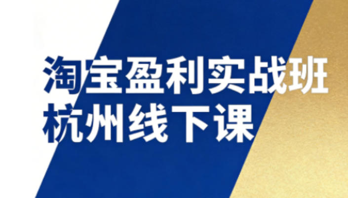 淘宝盈利实战班杭州线下课12月26-28日(音频+字幕)，帮你掌握SOP流程+12门核心技术-亿佰盟网