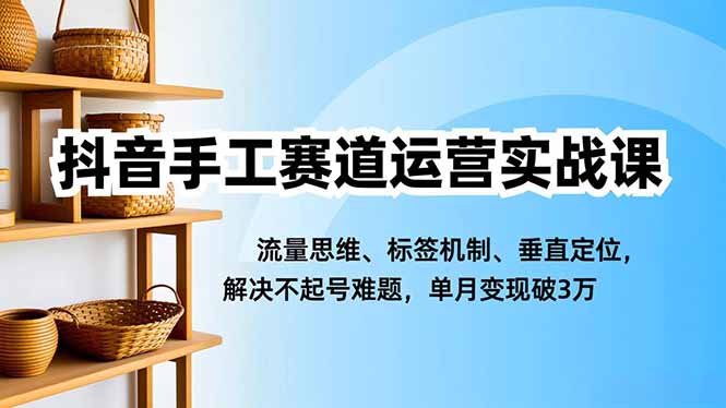 抖音手工赛道运营实战课，流量思维、标签机制、垂直定位，解决不起号难题，单月变现破3万-亿佰盟网