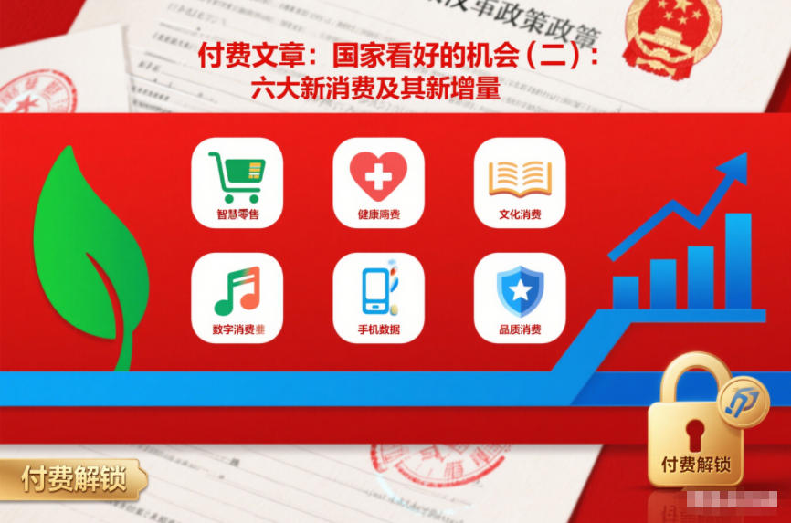 付费文章：国家看好的机会(二)：六大新消费及其新增量-亿佰盟网
