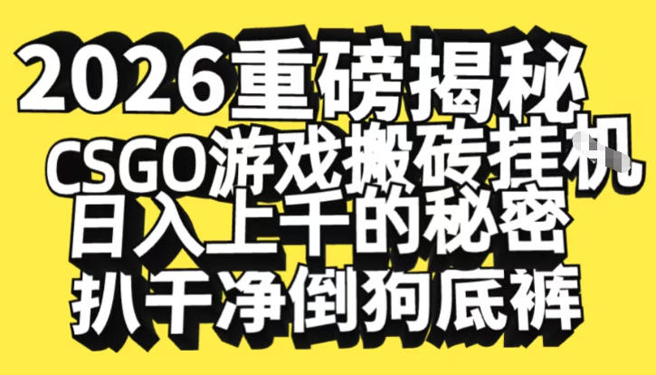 2026开年重磅解密，CSGO游戏搬砖挂G日入1k+的秘密，把倒狗的底裤扒干【揭秘】-亿佰盟网