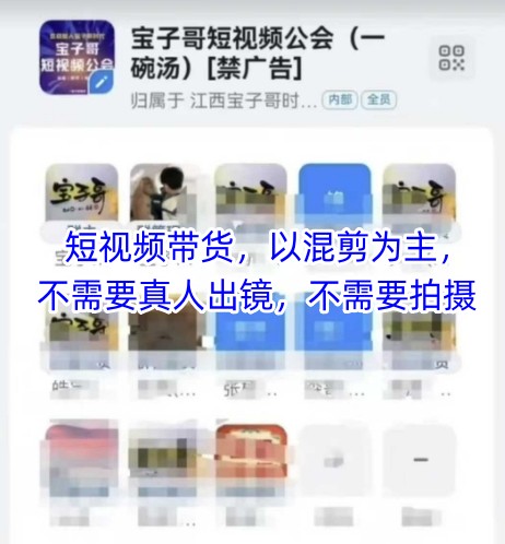 宝子哥头部团队短视频带货，以混剪为主，不需要真人出镜，不需要拍摄【更新9月】-亿佰盟网