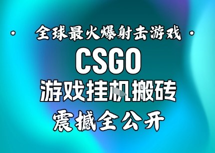 【年底大揭秘】基于全球最火爆的射击CSGO游戏挂G搬砖，日入5张+，震撼公开-亿佰盟网