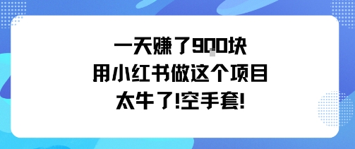 一天挣了9张用小红书做这个项目太牛了，空手套-亿佰盟网