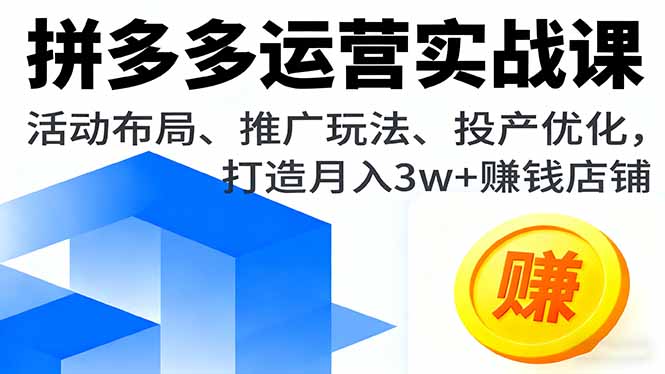 拼多多运营实战课,活动布局、推广玩法、投产优化,打造月入3w+赚钱店铺-亿佰盟网
