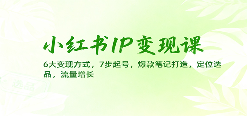 小红书IP变现课：6大变现方式，7步起号，爆款笔记打造，定位选品，流量增长-亿佰盟网
