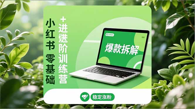 小红书零基础+高阶训练营：安全养号、爆款拆解、长效运营，实现稳定涨粉与变现-亿佰盟网