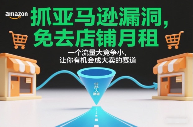 抓亚马逊漏洞，免去店铺月租，一个流量大竞争小，让你有机会成大卖的赛道-亿佰盟网